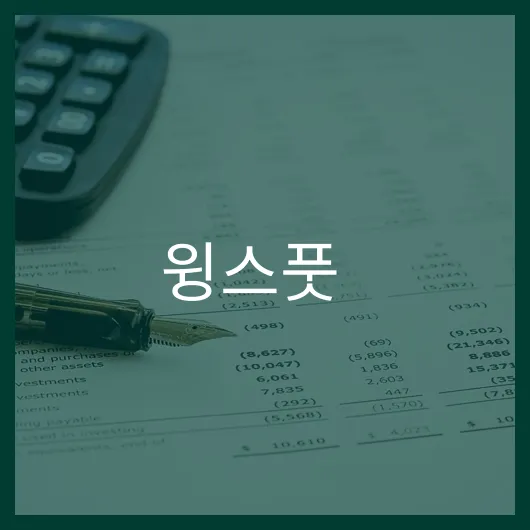 윙스풋 주가 전망 앞으로 6개월 내 30 상승 가능.webp