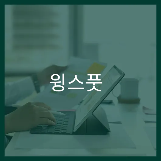 윙스풋