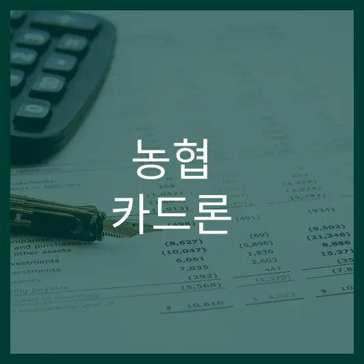 농협 카드론 신청 방법과 혜택 완벽 정리.webp