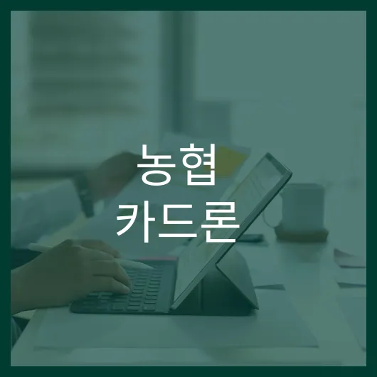 농협 카드론