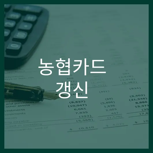 농협카드 갱신 혜택 가득한 필수 절차와 팁 대방출.webp