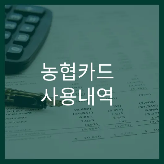 농협카드 사용내역 조회하는 5가지 간편한 방법.webp