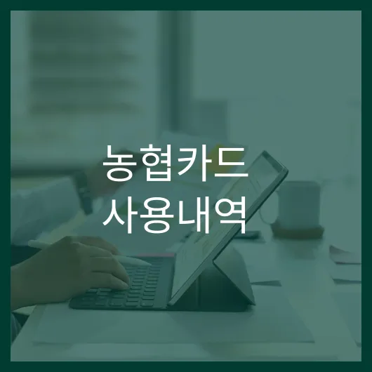 농협카드 사용내역