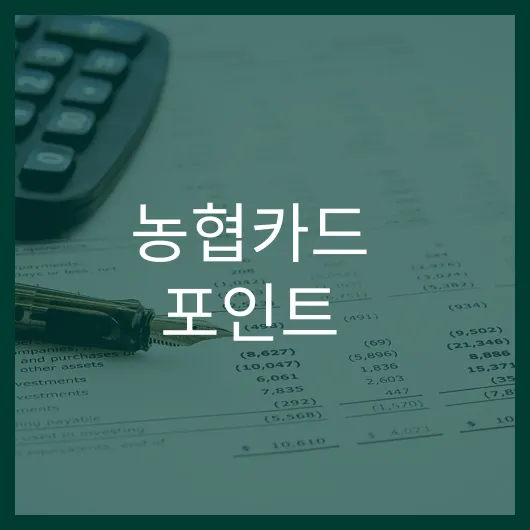 농협카드 포인트 활용법 절약하는 생활 꿀팁 7가지.webp