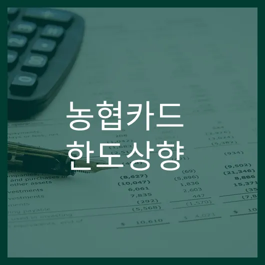 농협카드 한도상향 꿀팁 한도 올리기 쉬운 방법 5가지.webp