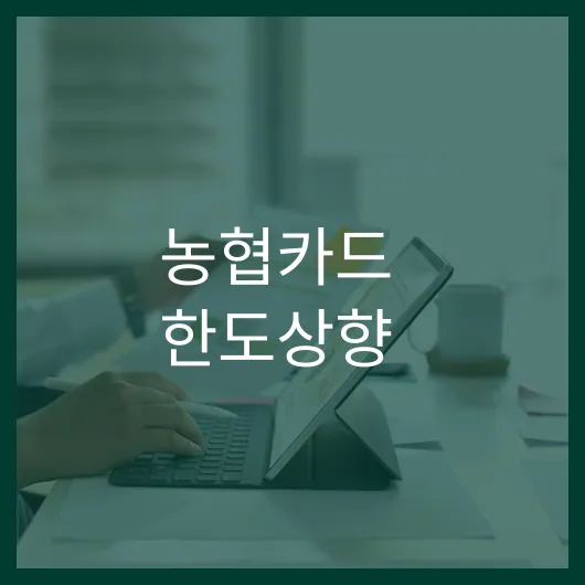 농협카드 한도상향
