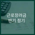 Home 18 근로장려금 반기 정기